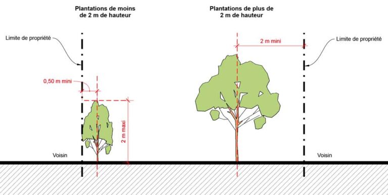 branches en bordure de propriete