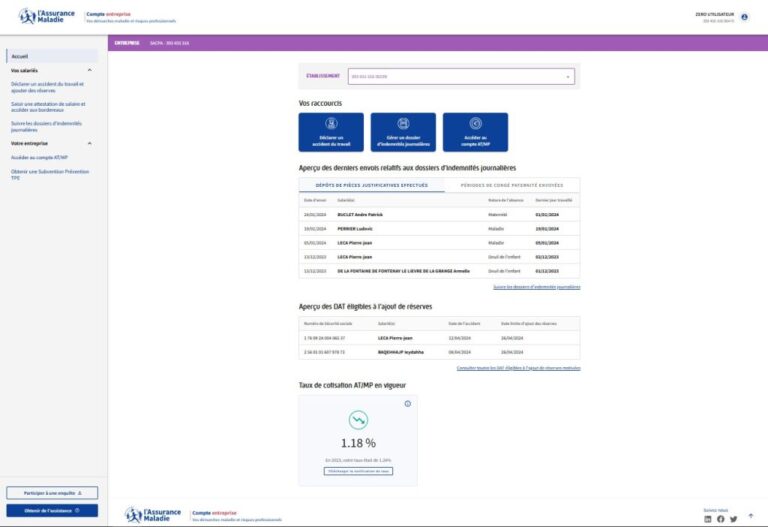 capture decran du site net entreprises