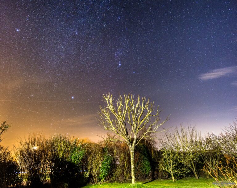 Comment varie la durée du jour au fil des saisons de l'année 1 ciel changeant au fil des saisons