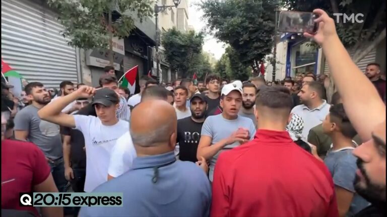 Qui sont les acteurs qui portent atteinte à l'ordre établi 1 des manifestants en colere dans la rue