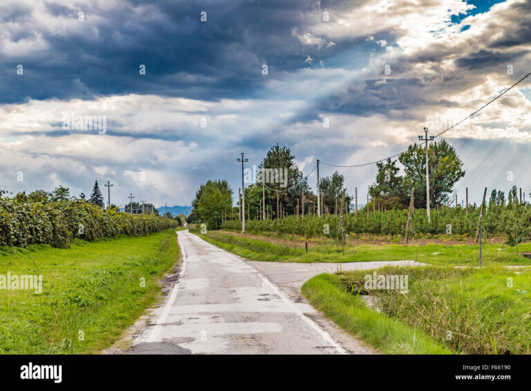 des routes bifurquant vers differentes directions
