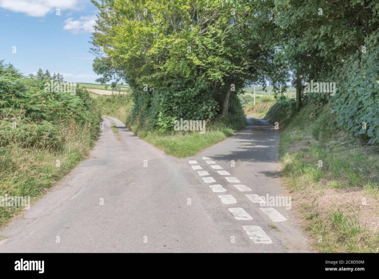 deux routes symbolisant des choix divergents