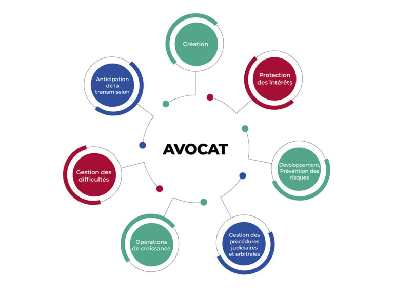 differents avocats en action dans leur domaine