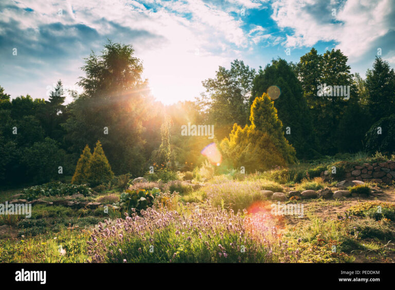 Peut-on vraiment tondre le jardin le lundi de Pentecôte 1 jardin en fleurs sous un ciel ensoleille