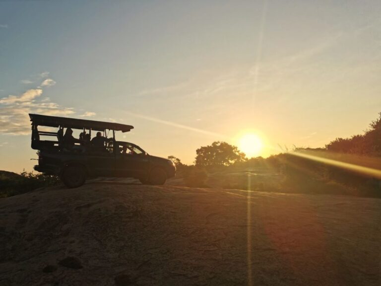 À quelle heure commence à faire jour selon votre localisation 1 lever de soleil dans differents lieux