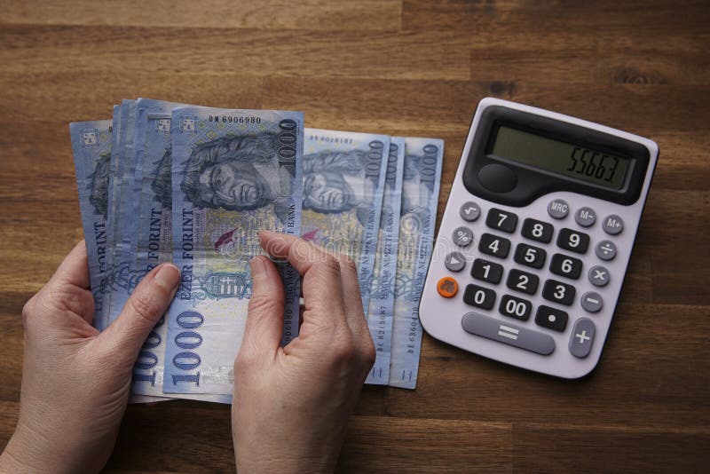 Quel est le montant maximum de saisie sur les allocations Pôle Emploi 6 Quel est le montant maximum de saisie sur les allocations Pôle Emploi