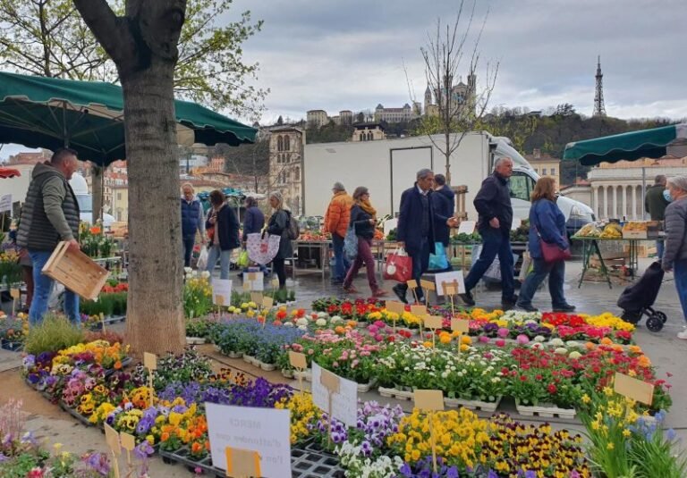 marche anime a lyon avec cheques vacances