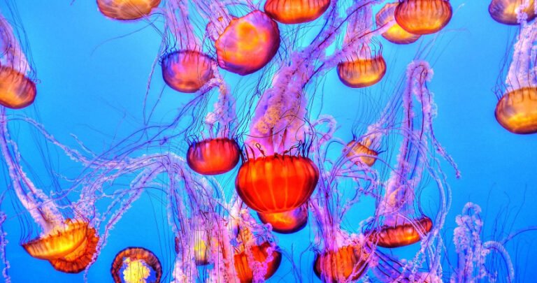 materiaux varies dans un environnement marin