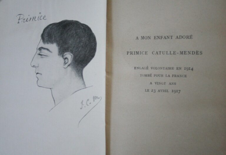 Pourquoi les paroles de "Tombé pour la France" sont-elles si émouvantes 1 pourquoi les paroles de tombe pour la france sont elles si emouvantes