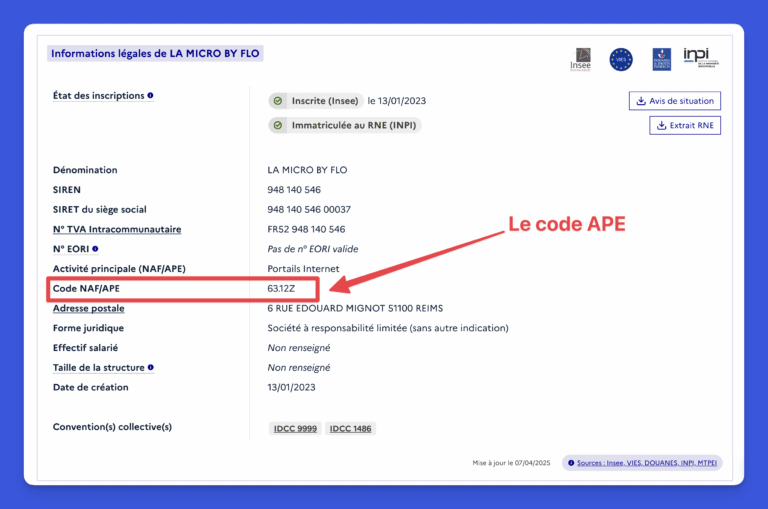 quel est le code ape adapte a mon activite professionnelle