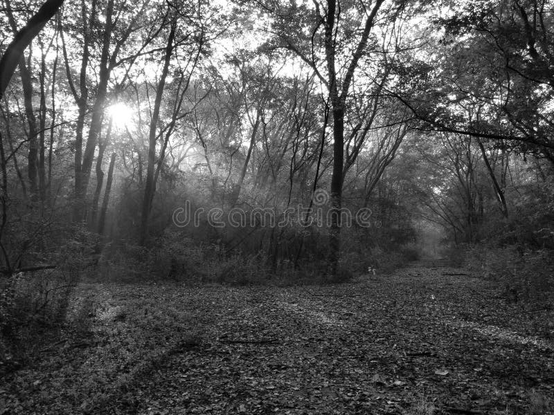 Comment déterminer quel métier est fait pour vous 3 Comment déterminer quel métier est fait pour vous