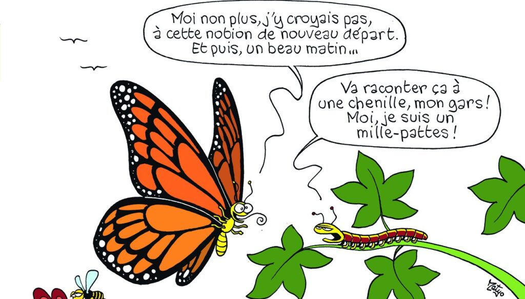 Pourquoi souffrir quand mon ex refait sa vie  Comment avancer