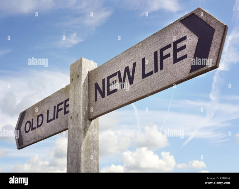 un chemin symbolisant un nouveau depart 1
