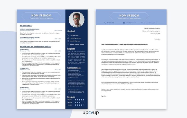 Quel titre de CV choisir pour mettre en valeur votre expérience 19 un cv elegant avec des sections distinctes